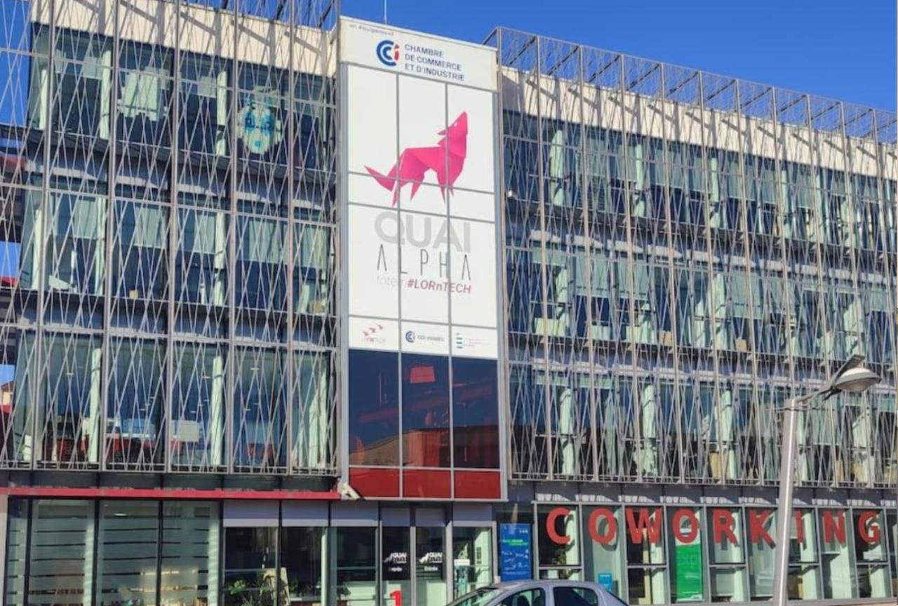 Logement Spacieux - Face A La Gare Et Centre-Ville Épinal Exterior foto